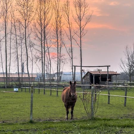 Agriturismo Al Botteniga Villa Treviso Eksteriør billede