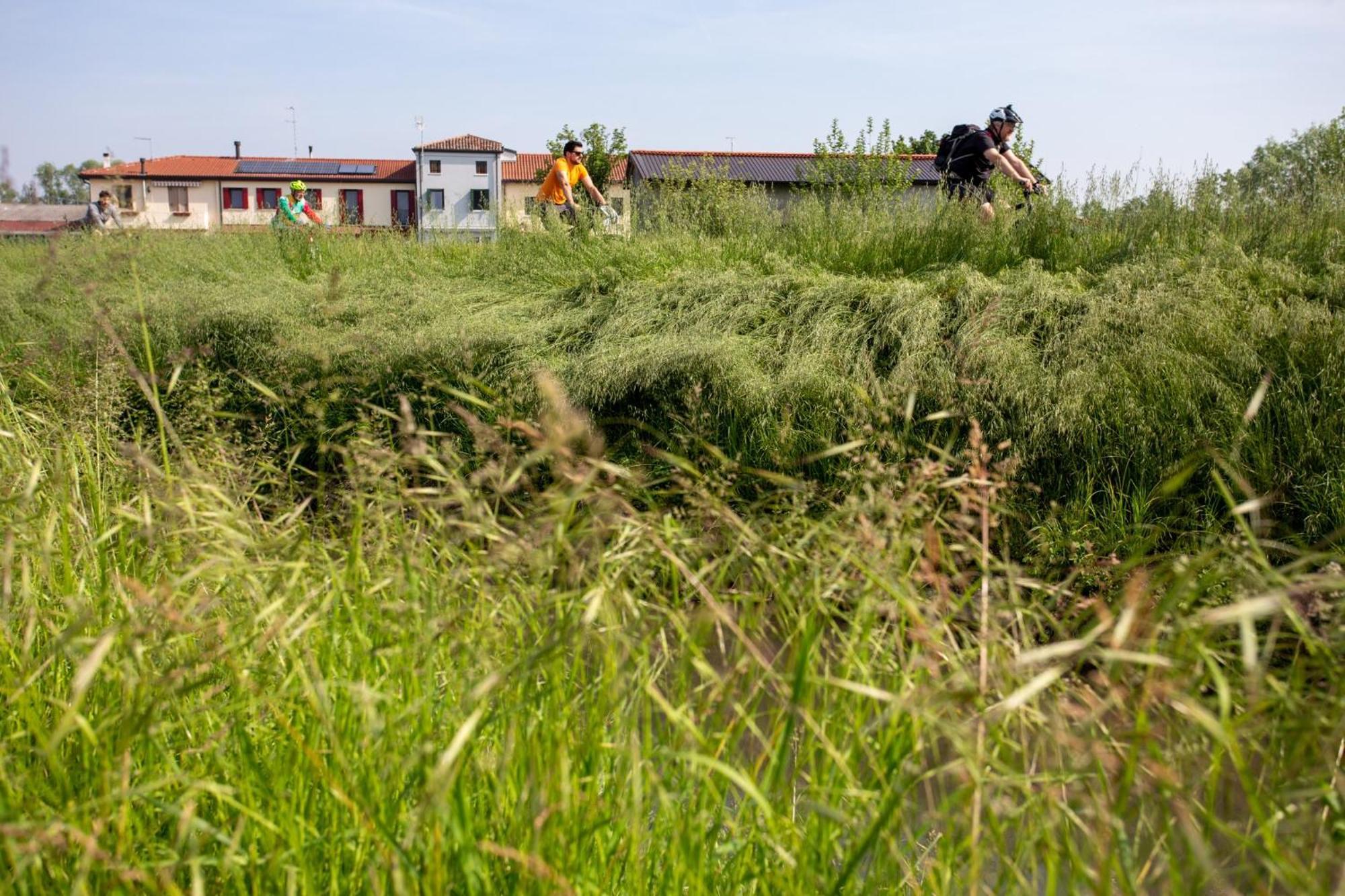 Agriturismo Al Botteniga Treviso Eksteriør billede