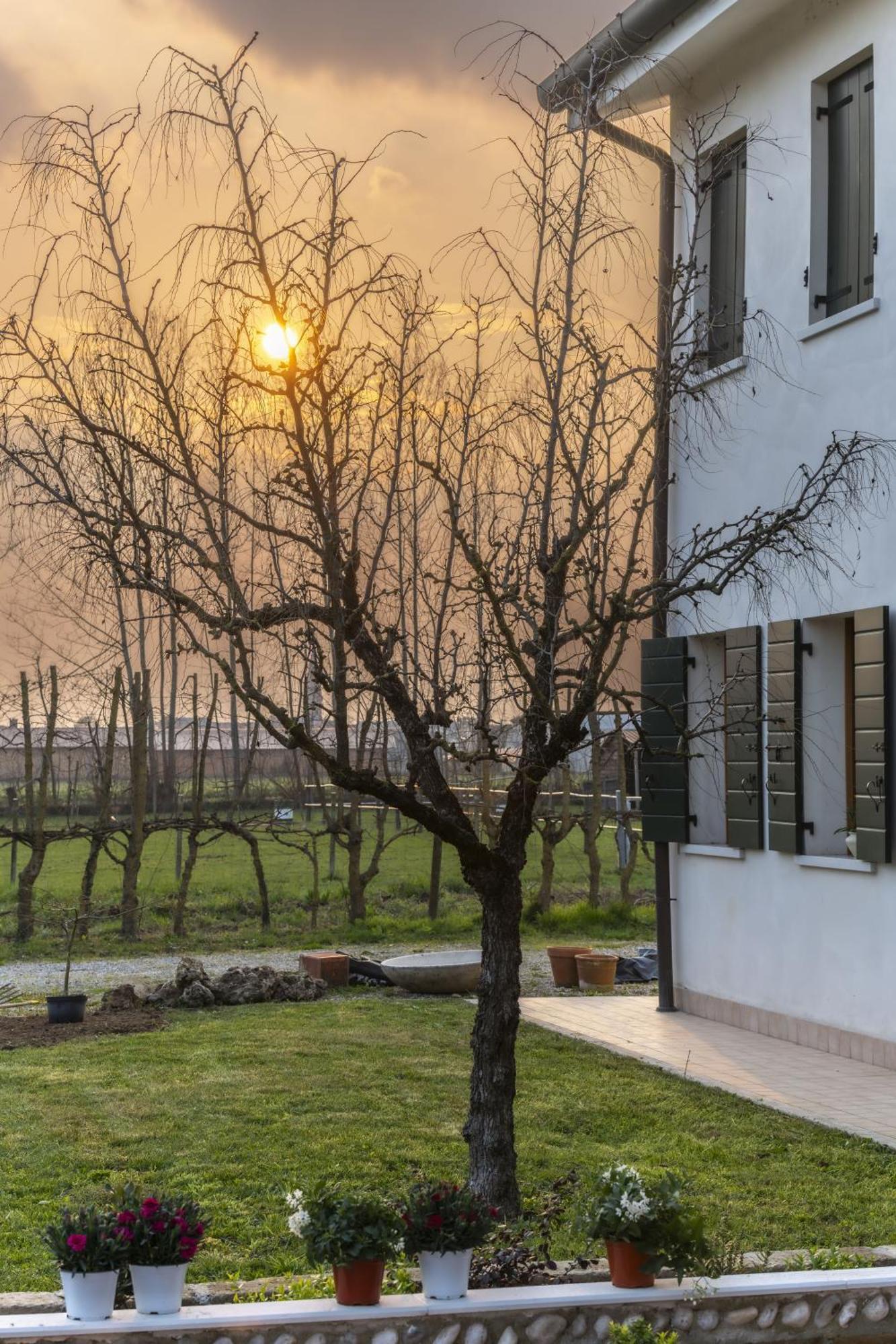 Agriturismo Al Botteniga Treviso Eksteriør billede