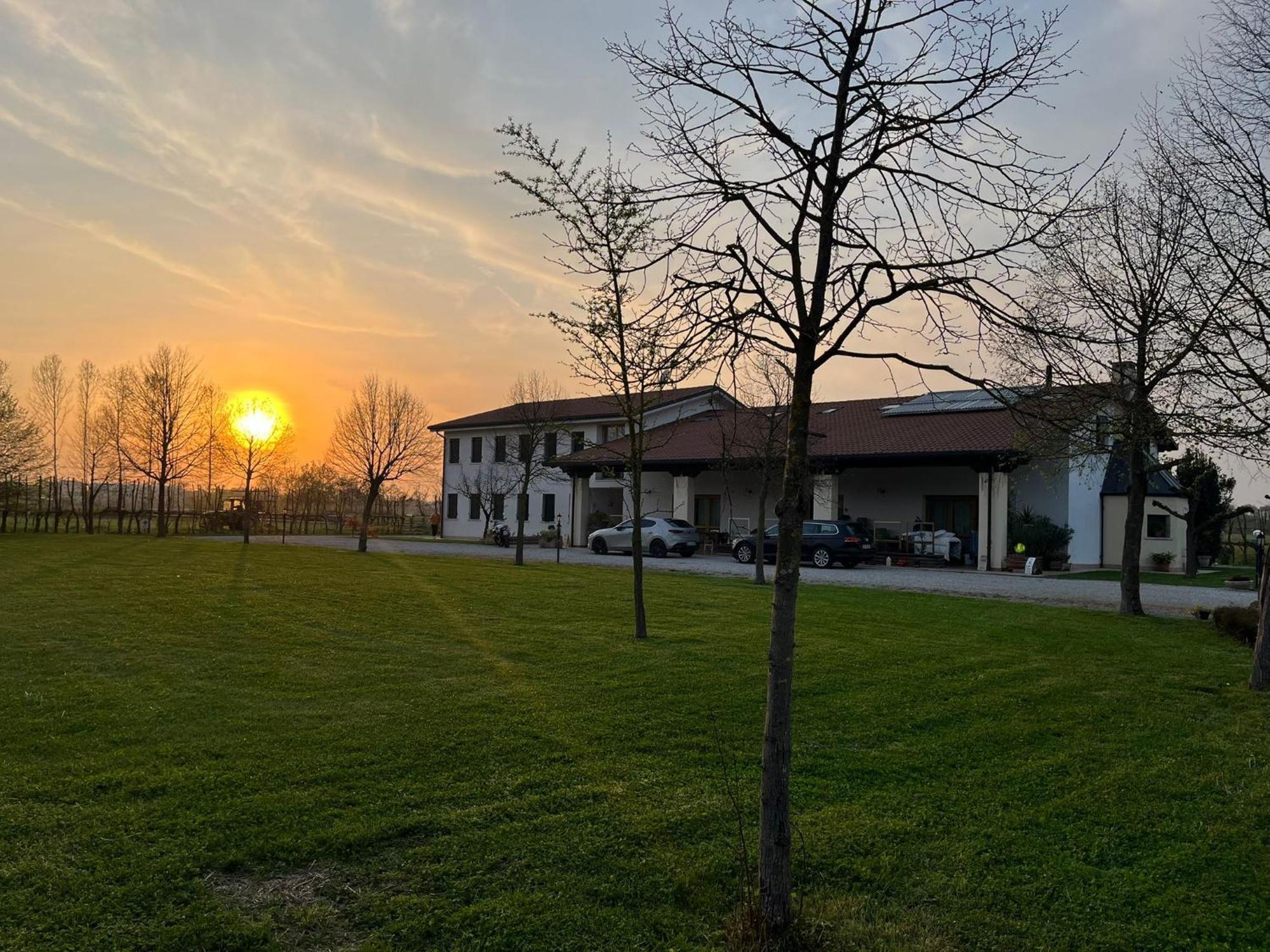 Agriturismo Al Botteniga Treviso Eksteriør billede