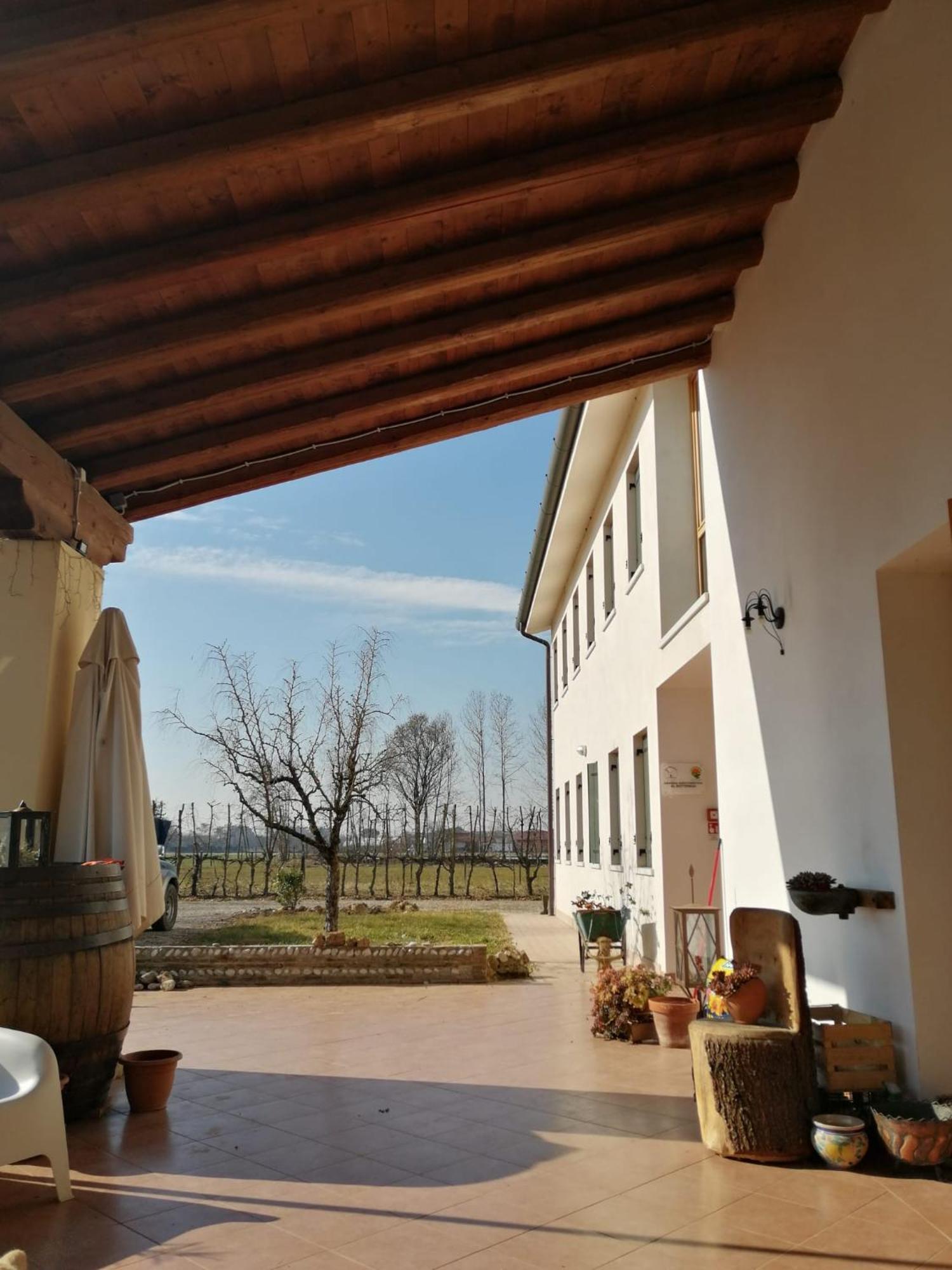 Agriturismo Al Botteniga Treviso Eksteriør billede