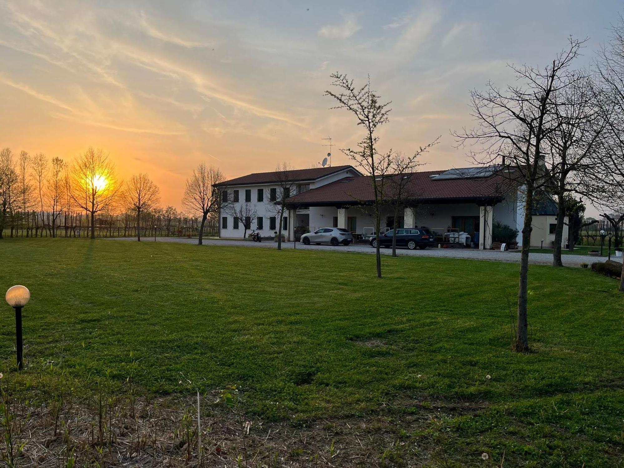 Agriturismo Al Botteniga Treviso Eksteriør billede