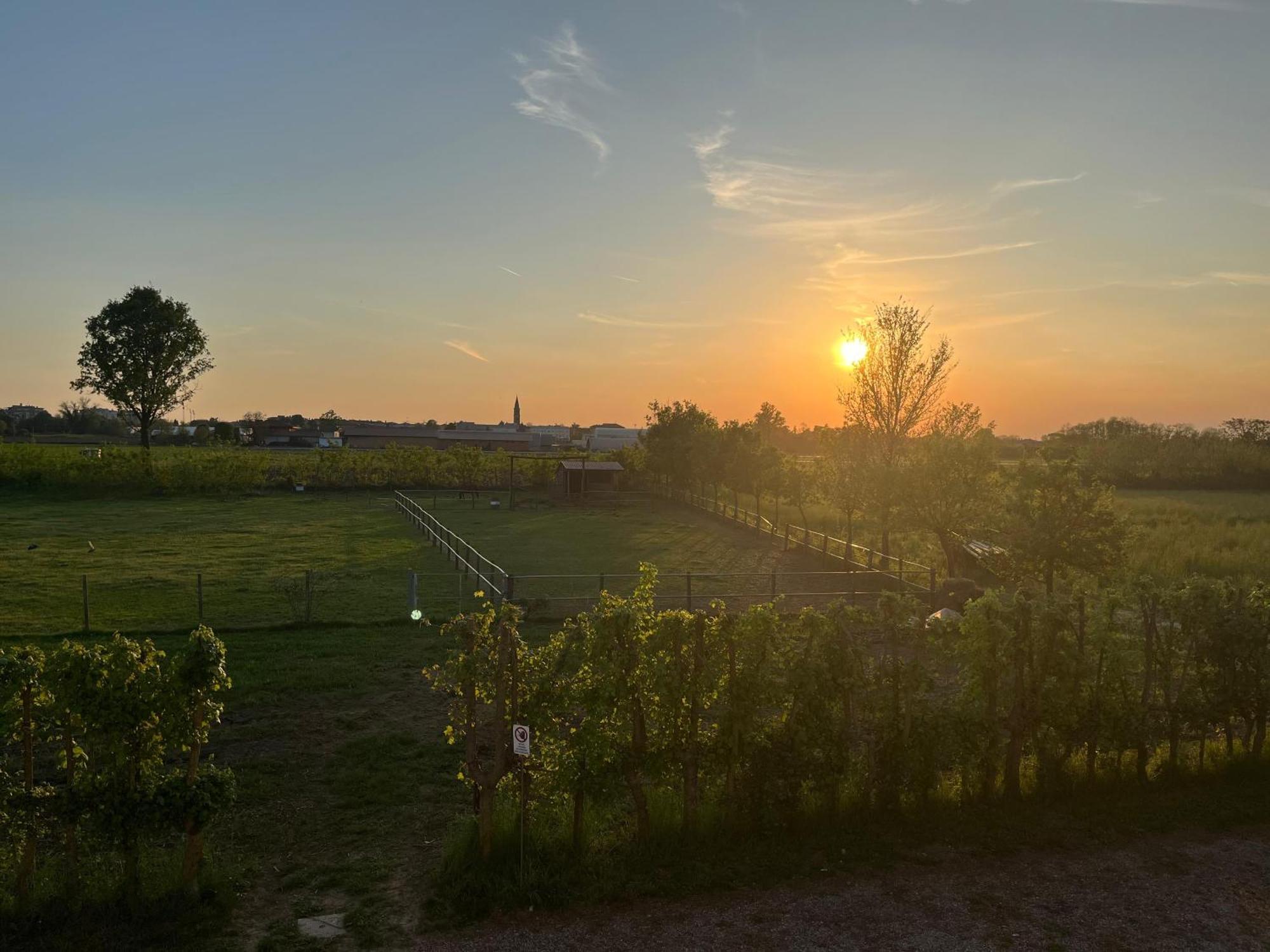 Agriturismo Al Botteniga Treviso Eksteriør billede